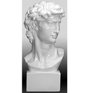 David Bust