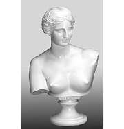 Venus Bust